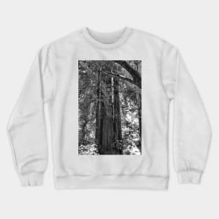 Muir Woods Study 3 Crewneck Sweatshirt